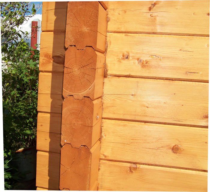 баня из профилированного бруса в уссурийске